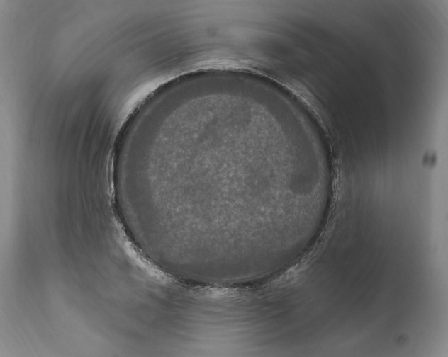 X0000111021030200907101335