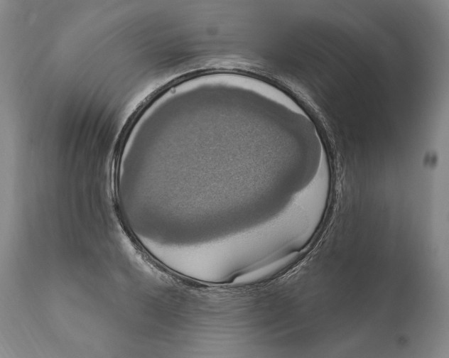 X0000111021032200907101335