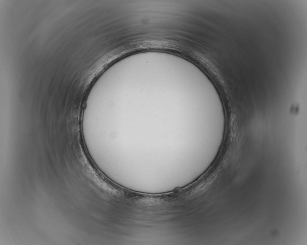 X0000111021033200907101335