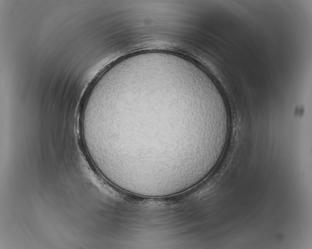 X0000111021034200907101335
