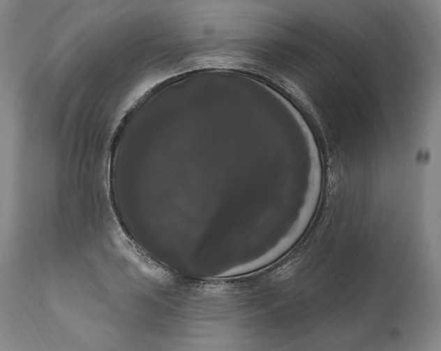X0000111021035200907101335