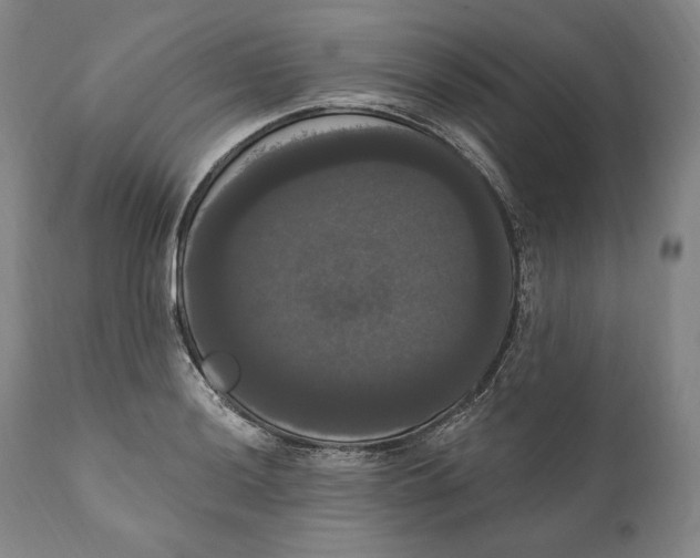 X0000111021036200907101335
