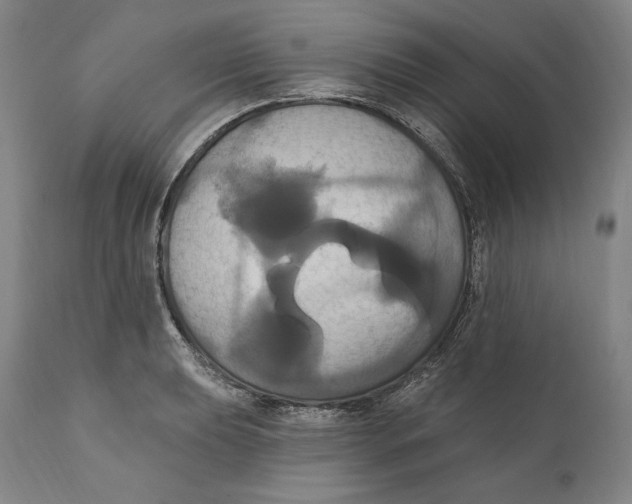 X0000111021039200907101335