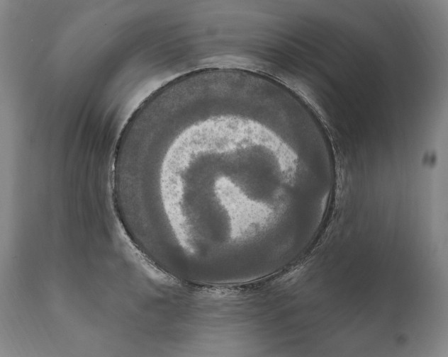 X0000111021040200907101335