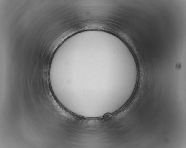 X0000111021041200907101335