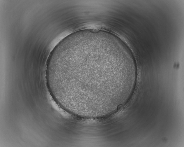 X0000111021042200907101335