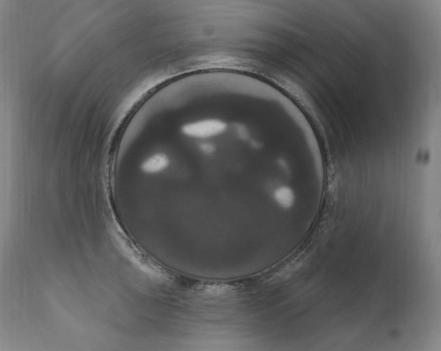 X0000111021043200907101335
