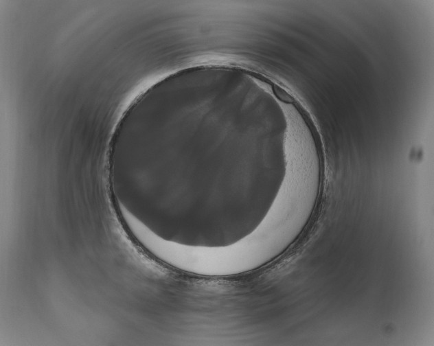 X0000111021045200907101335