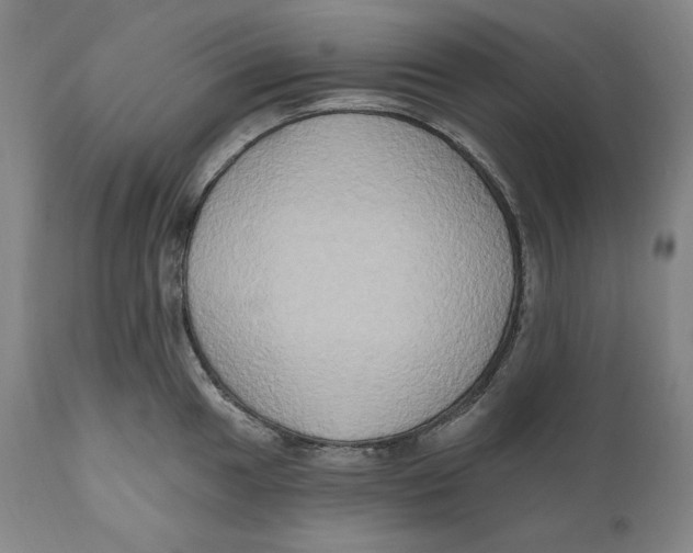 X0000111021049200907101335