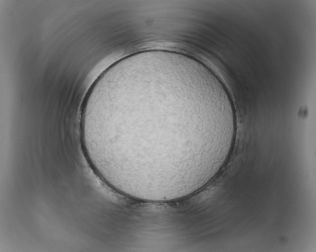 X0000111021050200907101335