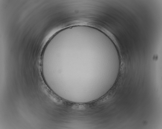 X0000111021051200907101335