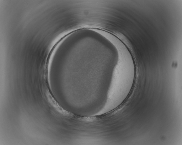 X0000111021052200907101335
