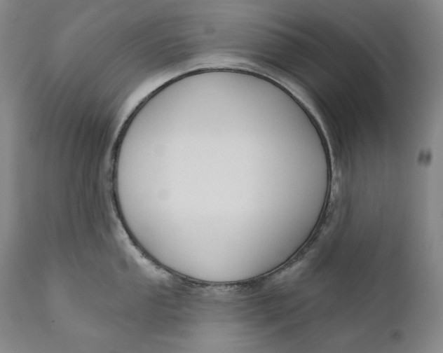 X0000111021053200907101335