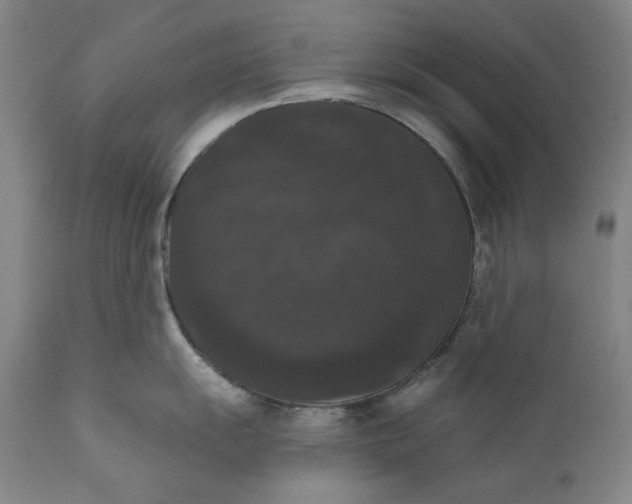 X0000111021055200907101335