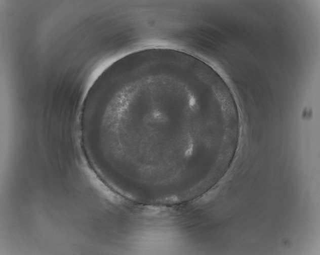 X0000111021056200907101335