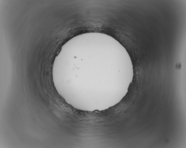 X0000111021057200907101335
