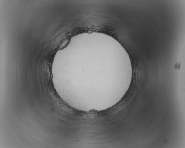 X0000111021058200907101335