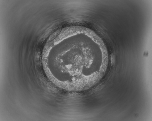 X0000111021059200907101335