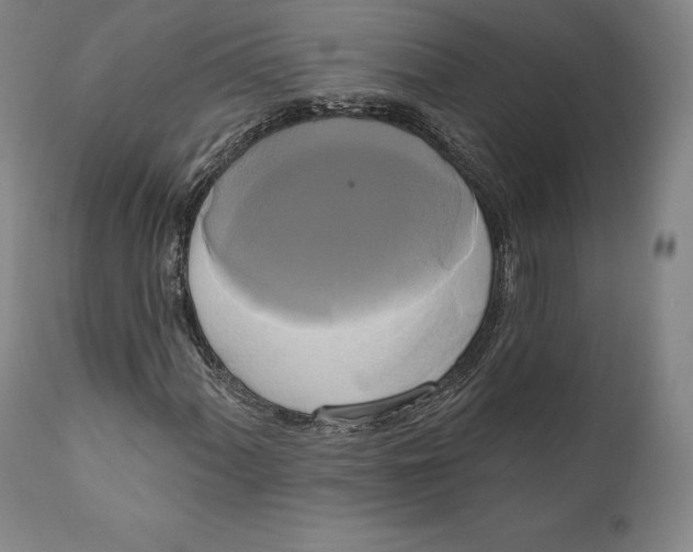 X0000111021060200907101335