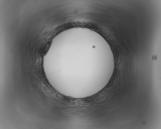 X0000111021061200907101335