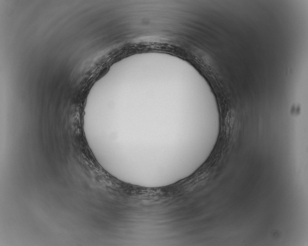 X0000111021062200907101335