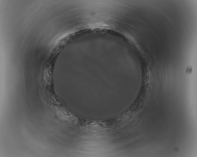 X0000111021063200907101335