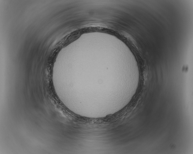 X0000111021064200907101335