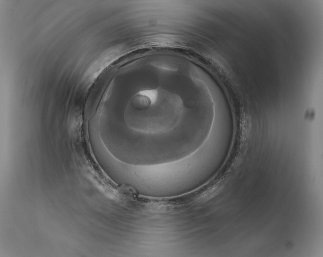 X0000111021065200907101335
