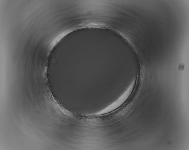 X0000111021066200907101335