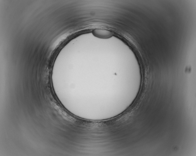 X0000111021067200907101335
