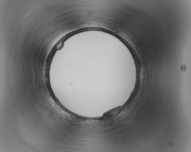 X0000111021068200907101335