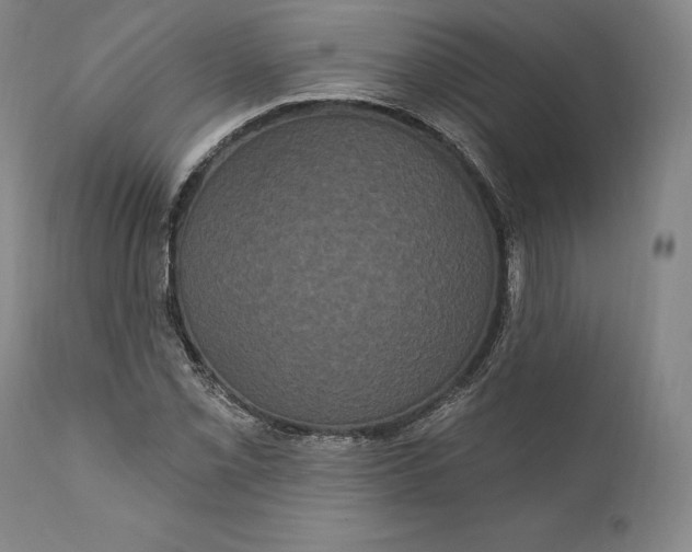 X0000111021069200907101335