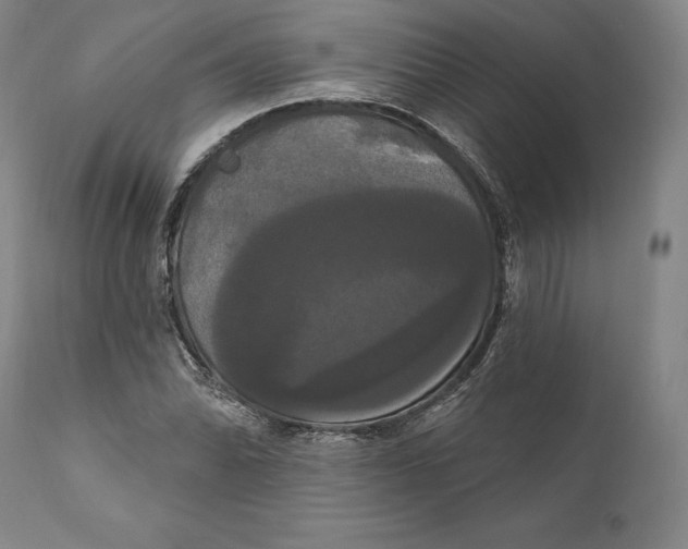 X0000111021070200907101335