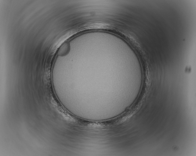 X0000111021073200907101335