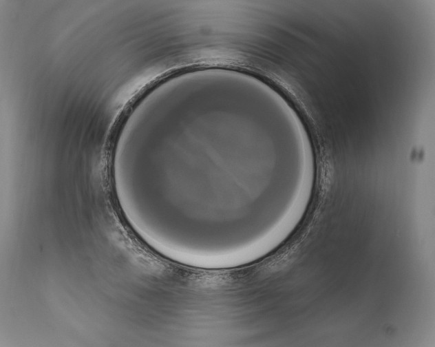 X0000111021074200907101335