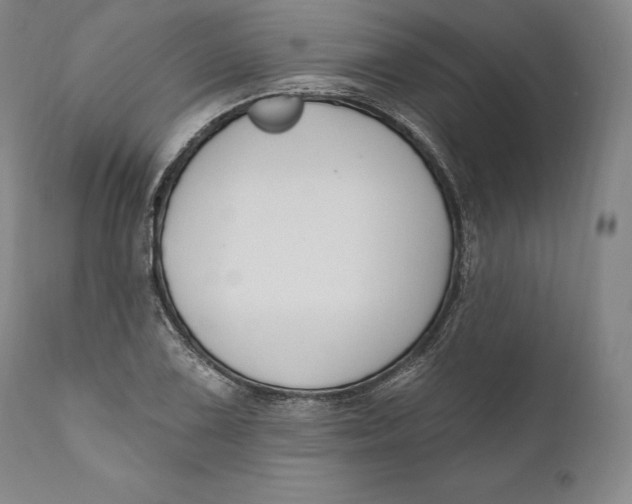X0000111021075200907101335
