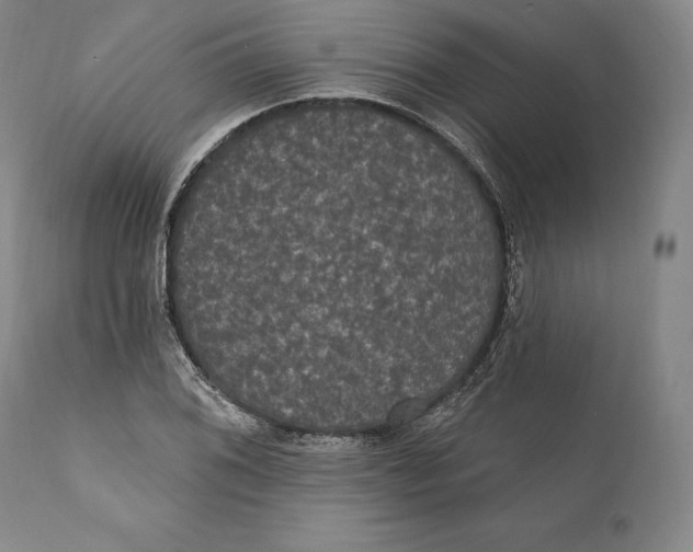 X0000111021076200907101335
