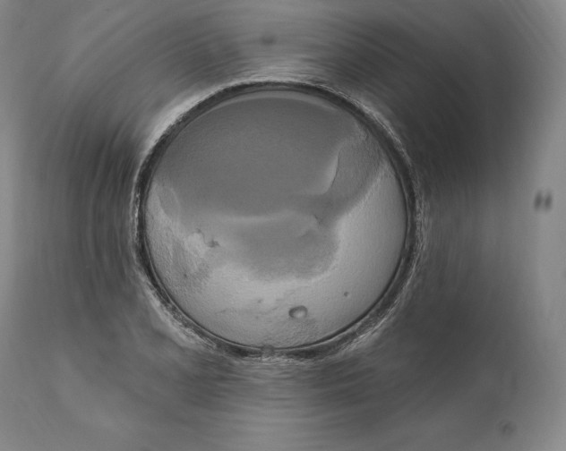 X0000111021077200907101335
