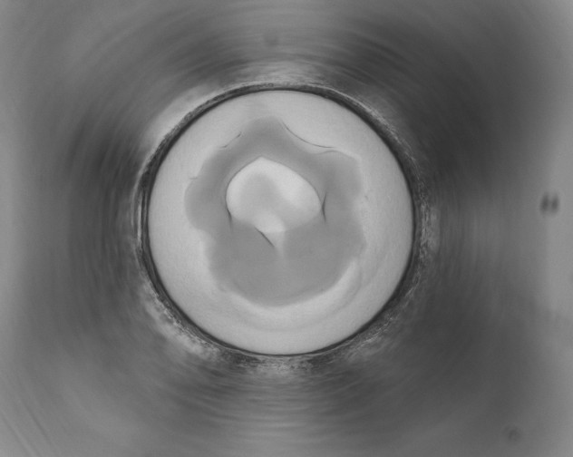 X0000111021078200907101335