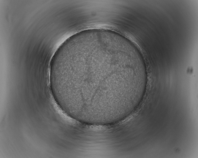X0000111021079200907101334