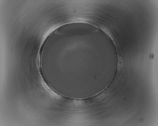 X0000111021080200907101334