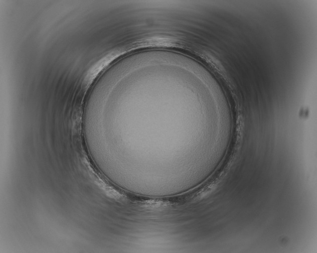 X0000111021081200907101334