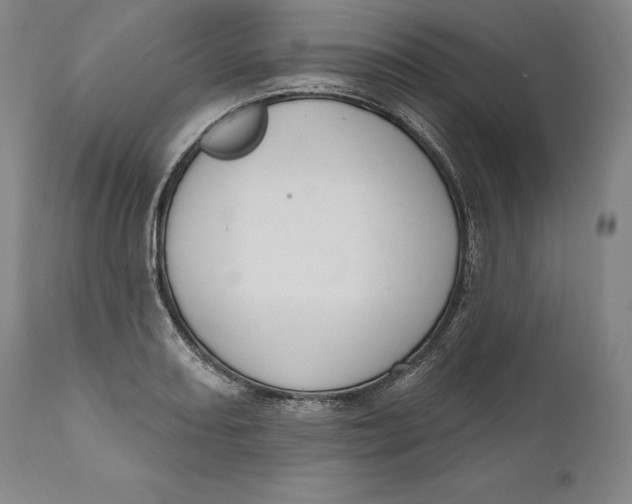 X0000111021082200907101334