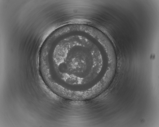 X0000111021083200907101334