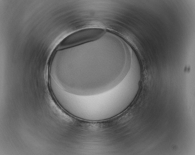 X0000111021084200907101334