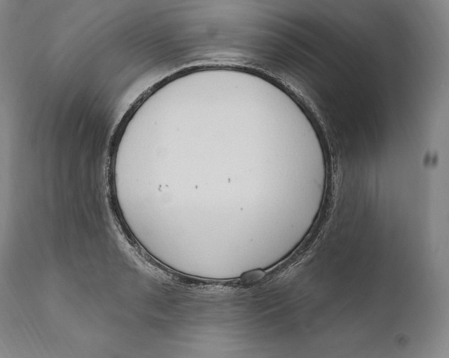 X0000111021085200907101334