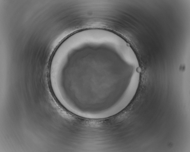 X0000111021086200907101334