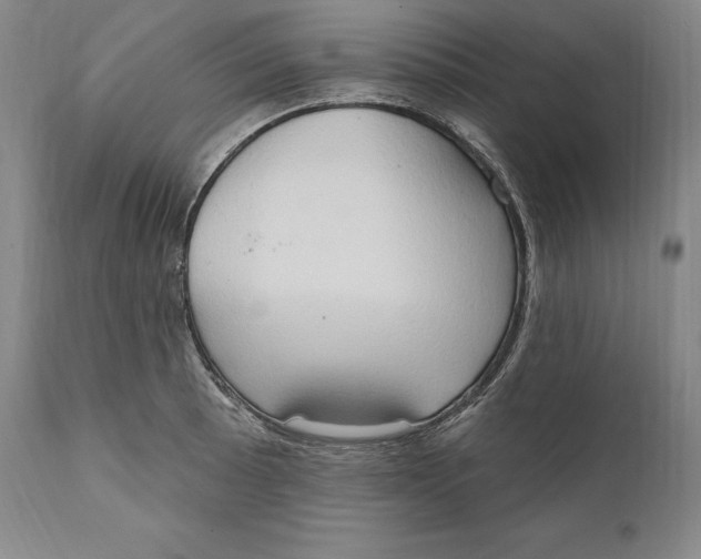 X0000111021089200907101334