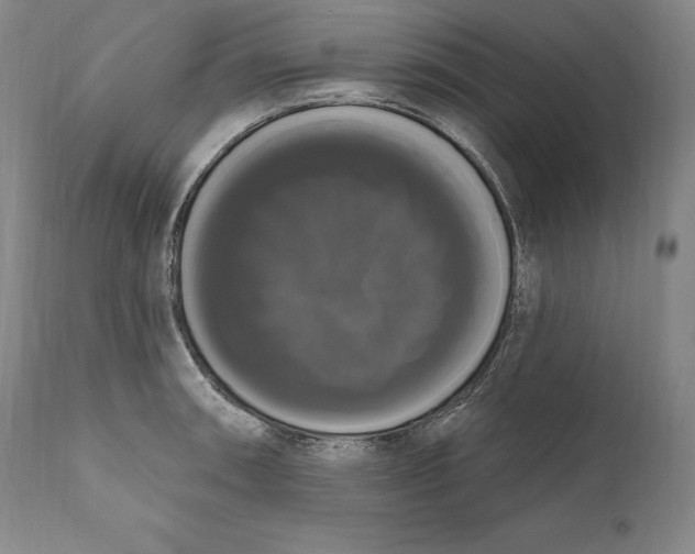 X0000111021090200907101334