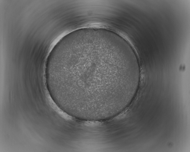 X0000111021091200907101334